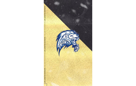 Téléchargez le fond d'écran des Lions